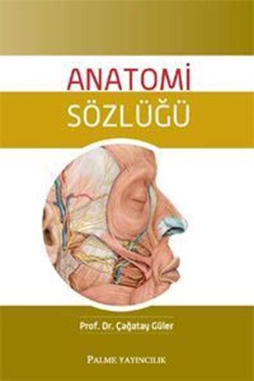 resm Anatomi Sözlüğü