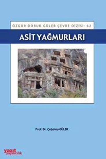 resm Asit Yağmurları