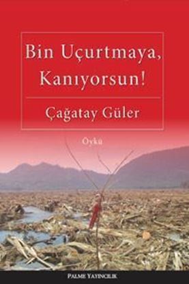 Resim Bin Uçurtmaya Kanıyorsun !