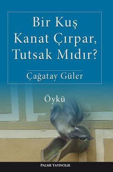 resm Bir Kuş Kanat Çırpar, Tutsak Mıdır?