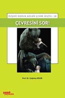Resim Çevresini Sor!