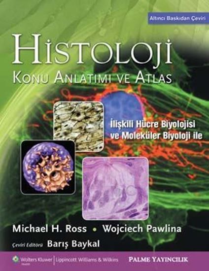 resm Histoloji Konu Anlatımı ve Atlas