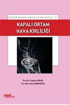 Resim Kapalı Ortam Hava Kirliliği