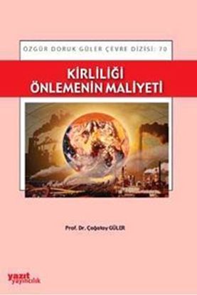 Resim Kirliliği Önlemenin Maliyeti