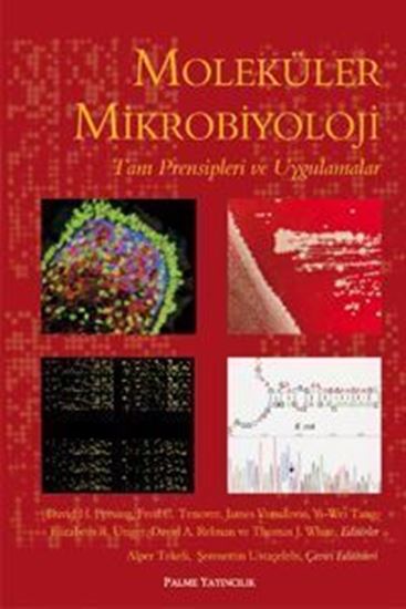 resm Moleküler Mikrobiyoloji