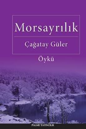 Resim Morsayrılık