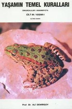 Resim Yaşamın Temel Kuralları Cilt 3 - Kısım 1