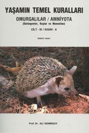 resm Yaşamın Temel Kuralları Cilt 3 - Kisim 2