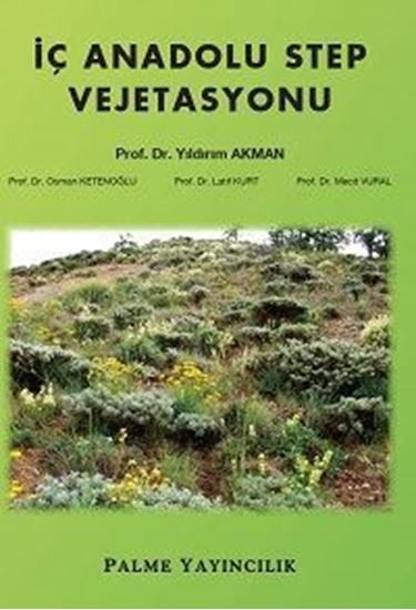 resm İç Anadolu Step Vejetasyonu