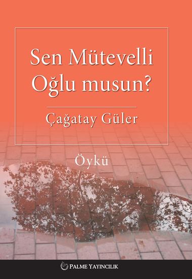 resm SEN MÜTEVELLİ OĞLU MUSUN?