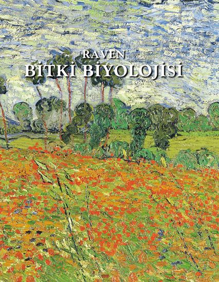 resm BİTKİ BİYOLOJİSİ RAVEN