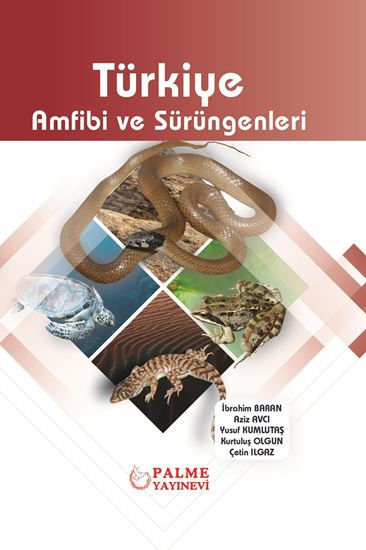 resm Türkiye Amfibi ve Sürüngenleri