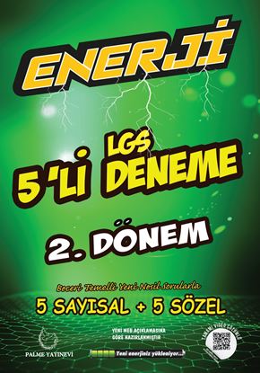 Resim 8.Sınıf Enerji LGS 5 Lİ 2.DÖNEM DENEME
