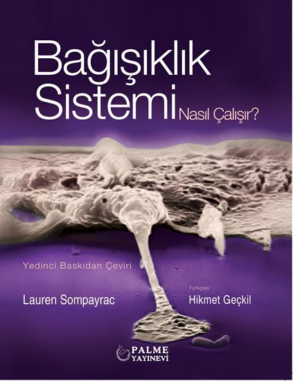 resm BAĞIŞIKLIK SİSTEMİ NASIL ÇALIŞIR