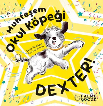 Resim MUHTEŞEM OKUL KÖPEĞİ DEXTER